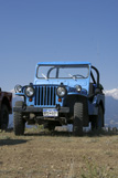 The Blue Mule on Aspen Ridge